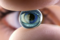 Contact Lenses